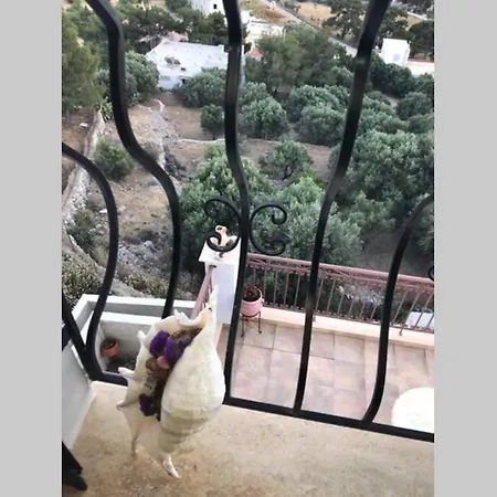 Nikis Seaside House Casa de Férias